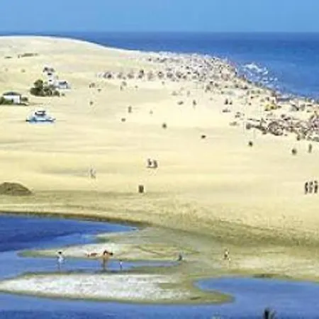 Bungalow Maspalomas Tranquilo Luminoso Y Apto El Teletrabajo * מספאלומס
